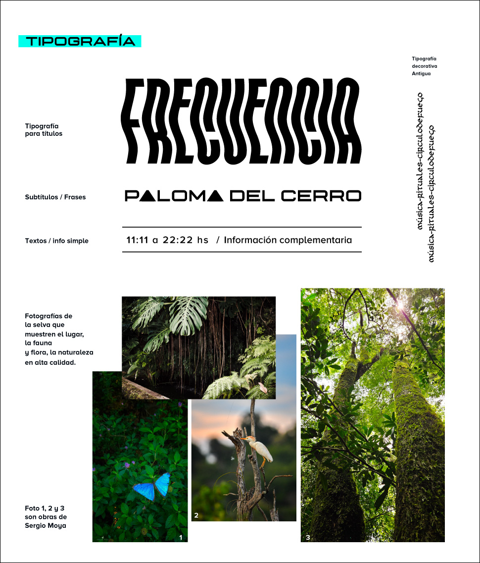 DiseÑo Grafico Casa Resonance Sofia Varela