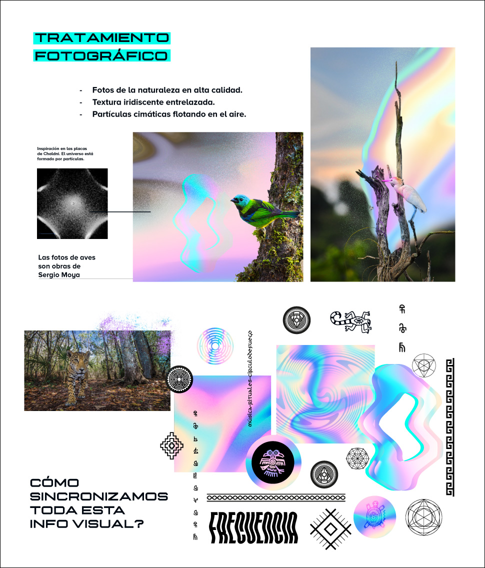 DiseÑo Grafico Casa Resonance Sofia Varela
