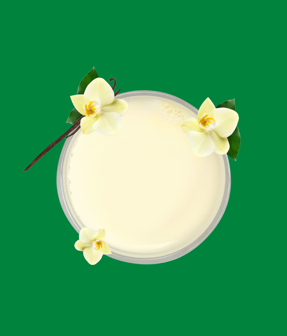 DiseÑo Grafico Ser Danone Sofia Varela