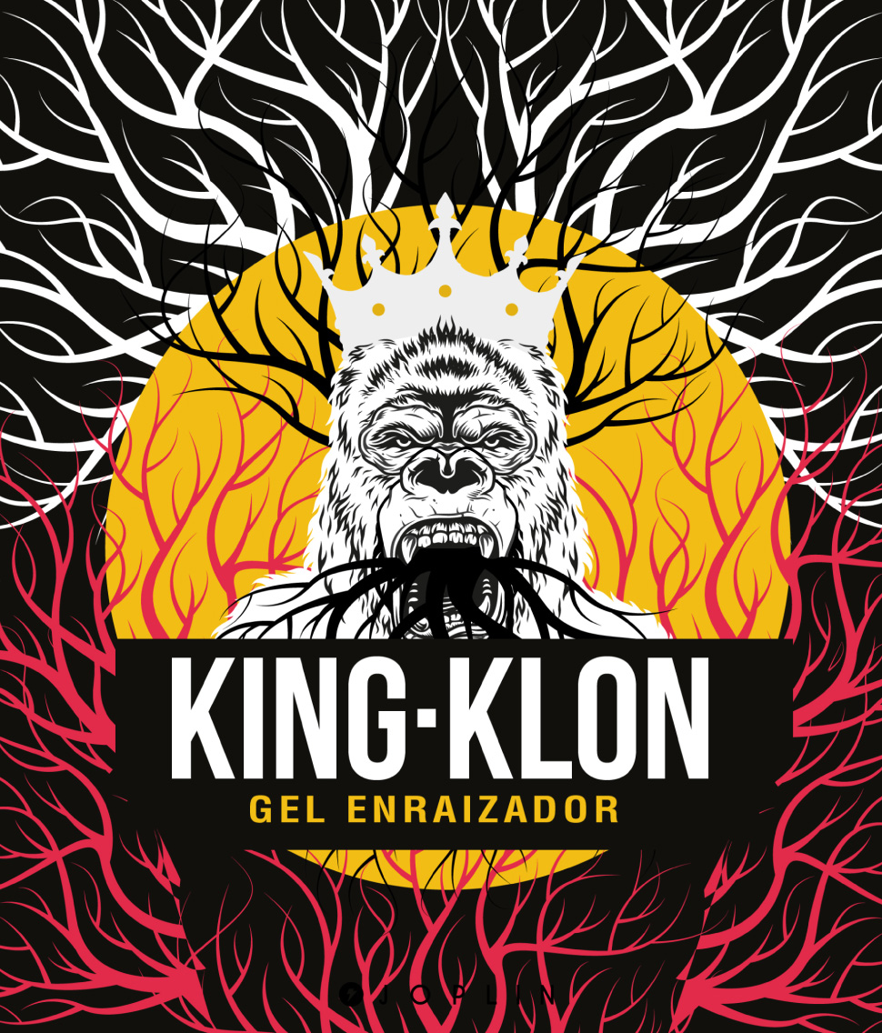 DiseÑo Grafico skog Sofia Varela