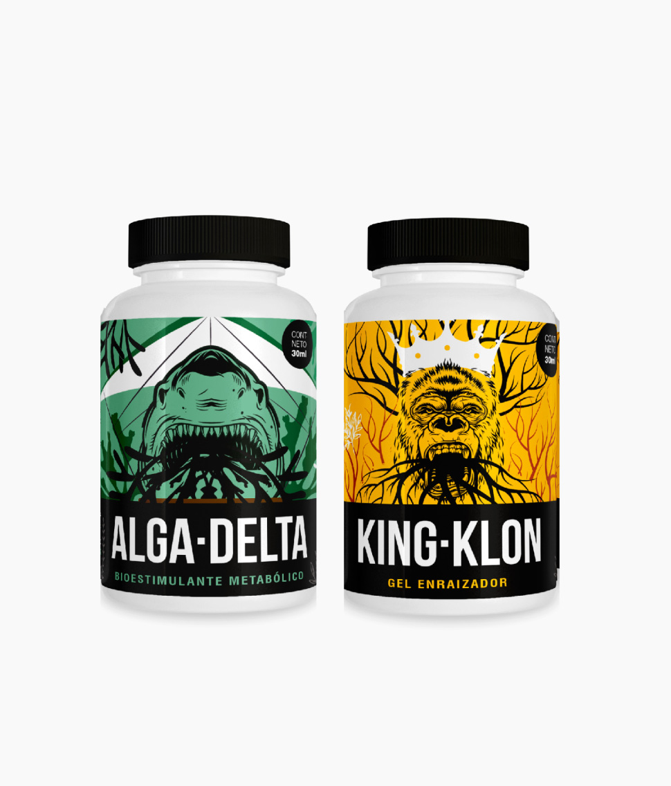 DiseÑo Grafico skog Sofia Varela